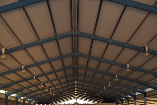 Indoor Equestrian Lap Pool