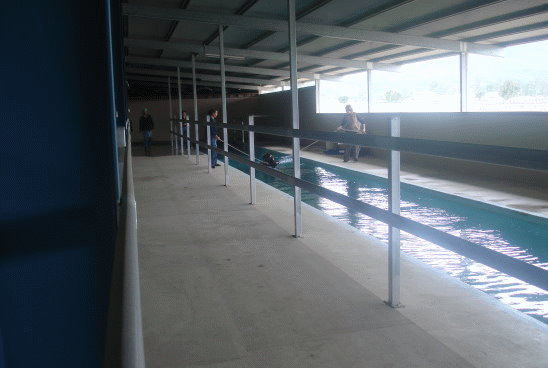 Belcam Stud Indoor Arena