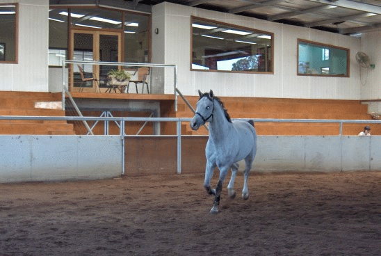 Belcam Stud Indoor Arena
