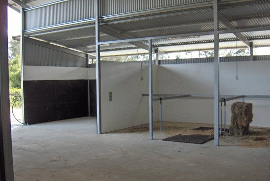 Wash and Grooming Area