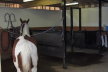 Indoor Wash and Crush Bay Area