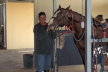 Saddling Up