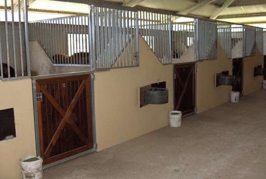 Inside Wadham Park Stables