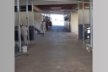 Inside Lacona Farm Stables