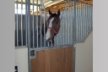 Stable Door Detail at Lacona Farm