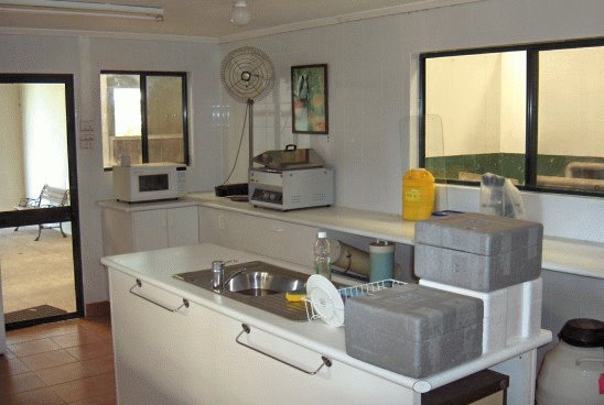 The Clean Room