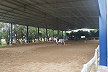 Team Van Den Berge Indoor Arena Team Van Den Berge Indoor Arena
