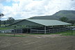 Paddock Shelter Paddock Shelter