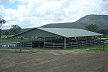 Paddock Shelter